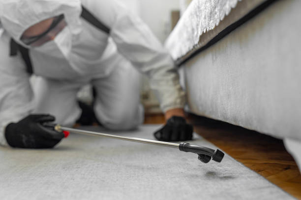 Professional Bed Bug Control technician working in Pilot Mountain, NC
